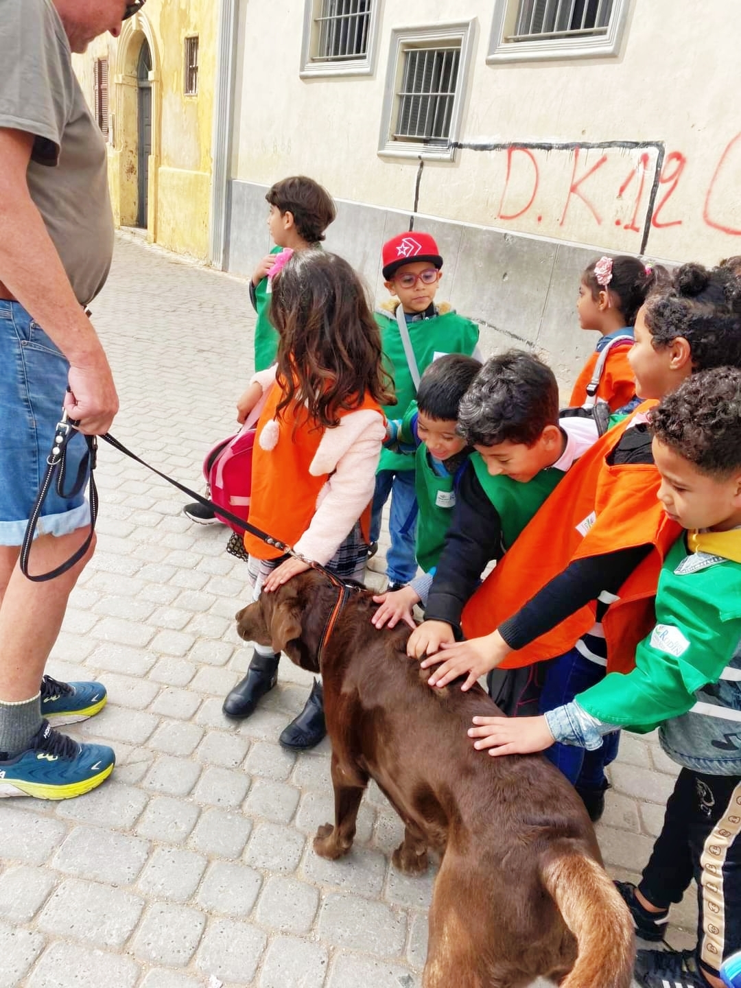 Freelifer-autocamper-rejser-ogsa-med-hunde