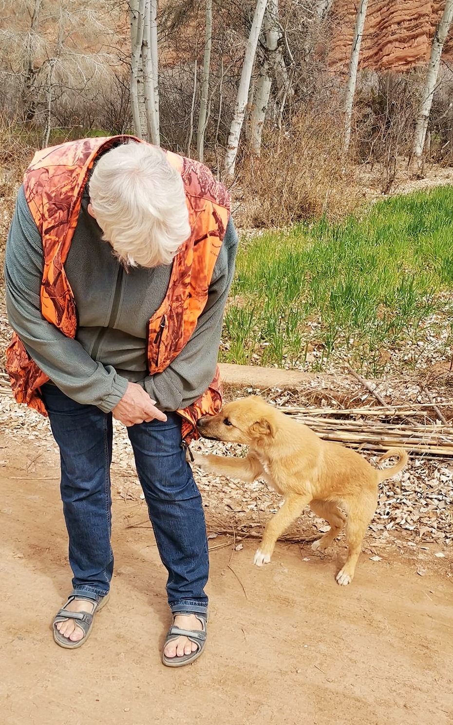 Freelifer-autocampist-med-gadehund