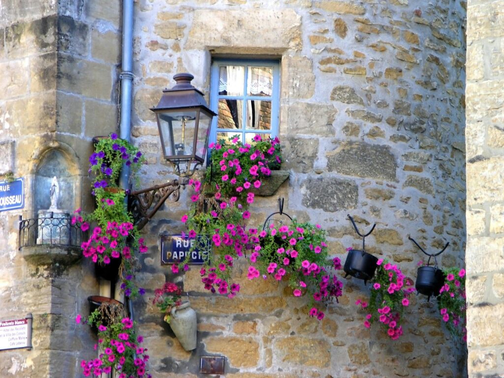 Stone wall adorned with vibrant pink petunias in Sarlat-la-Canéda, showcasing classic French architecture.