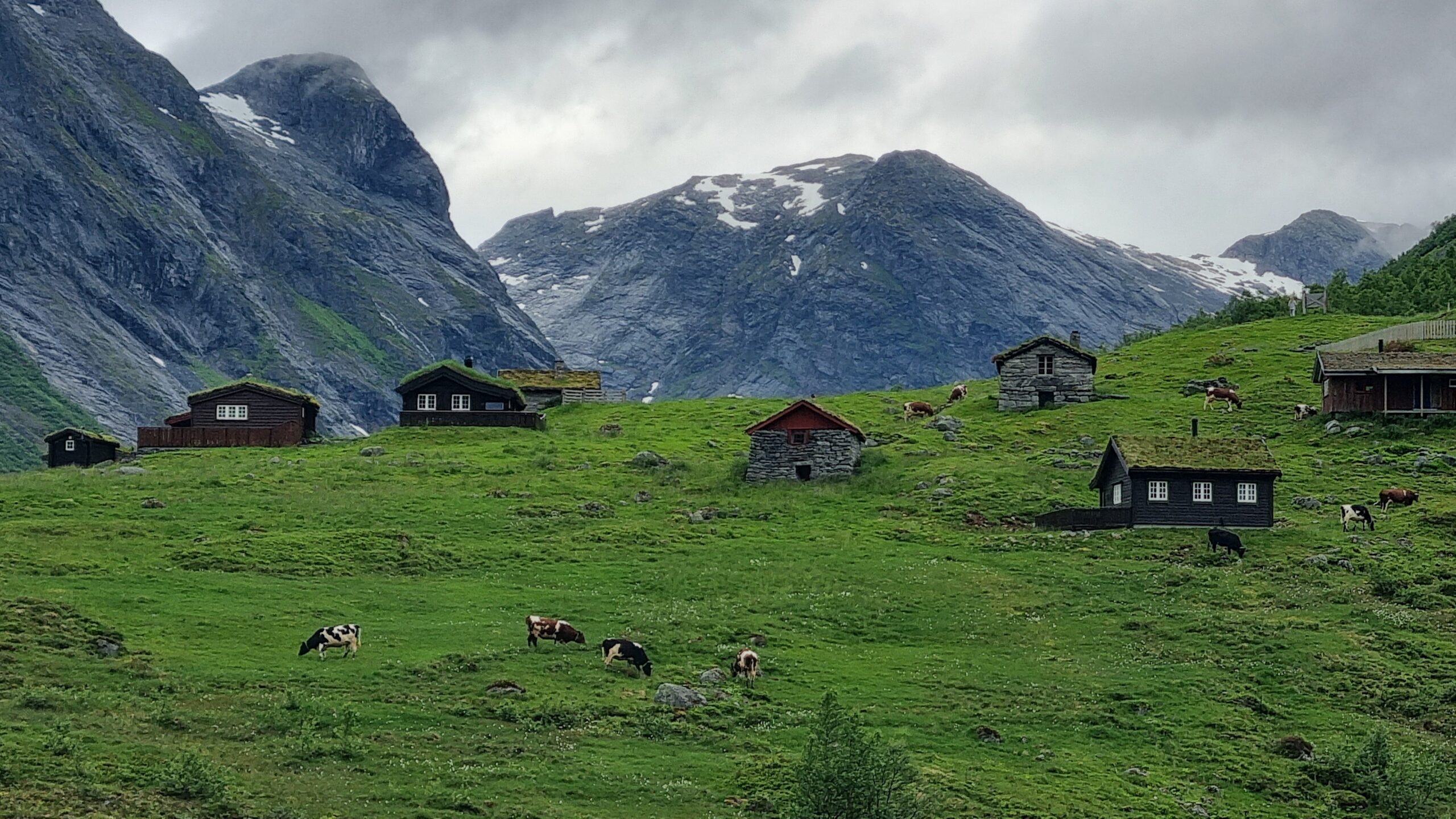 Vi ser det smukke Norge på 23 dage med freelier