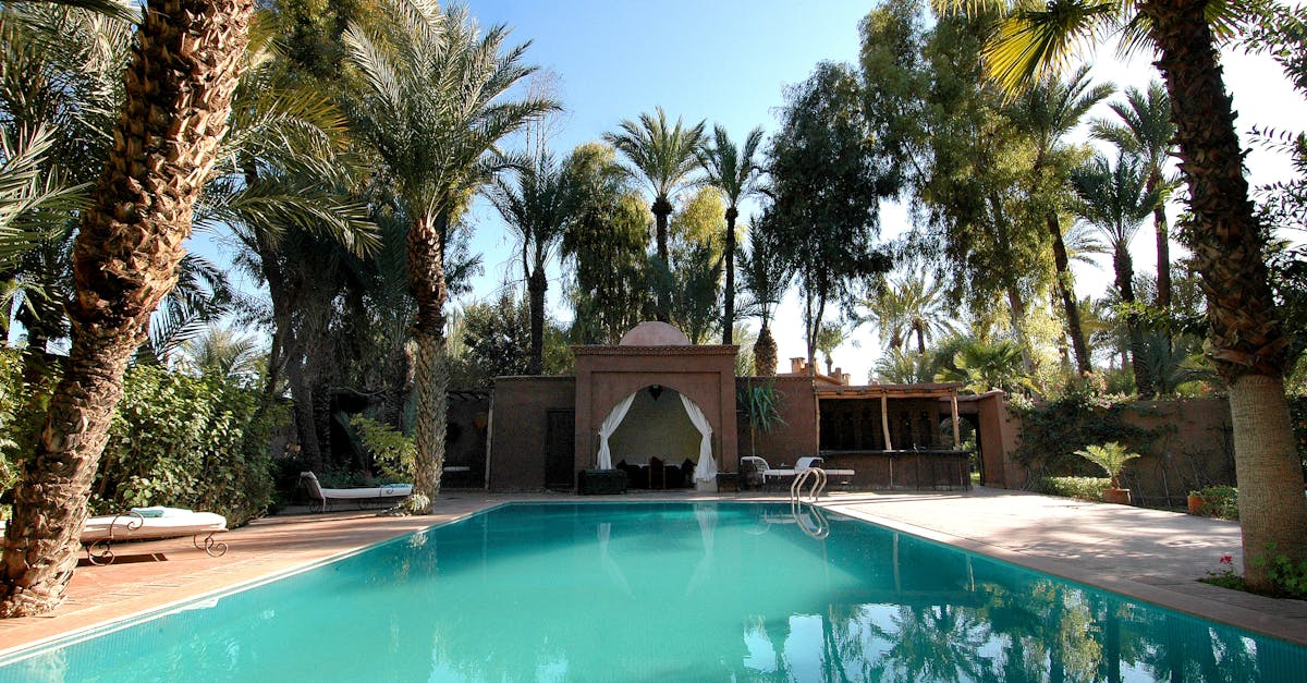 freelifer marokko rundrejse marts 2027