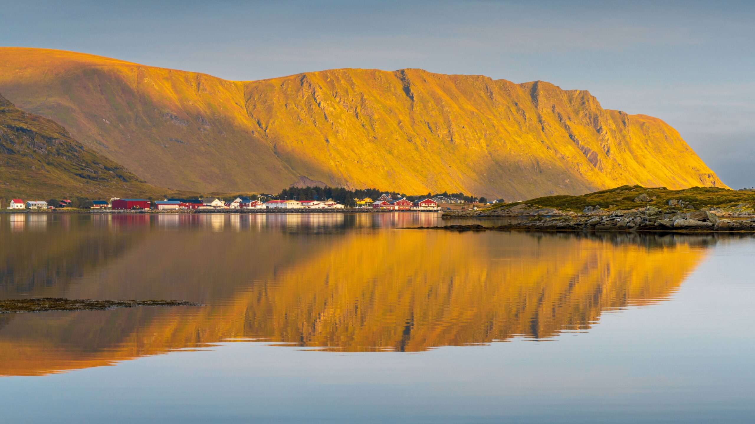 Scenic view of a coastal village reflecting in calm waters under golden mountains in Lofoten, Norway. Freelifer.dk tur